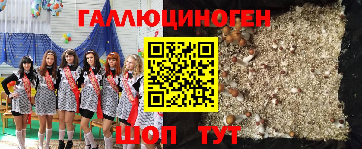 Верхняя Салда  Псилоцибиновые грибы Psilocybine cubensis  Вход с VPN  Галлюциногенные грибы MAGIC MUSHROOMS 